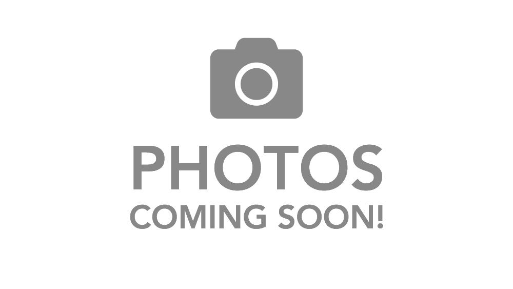 chevrolet silverado 1500 2017 1GCNCNEC6HZ350172 image chevrolet silverado 1500 2017 1GCNCNEC6HZ350172 image